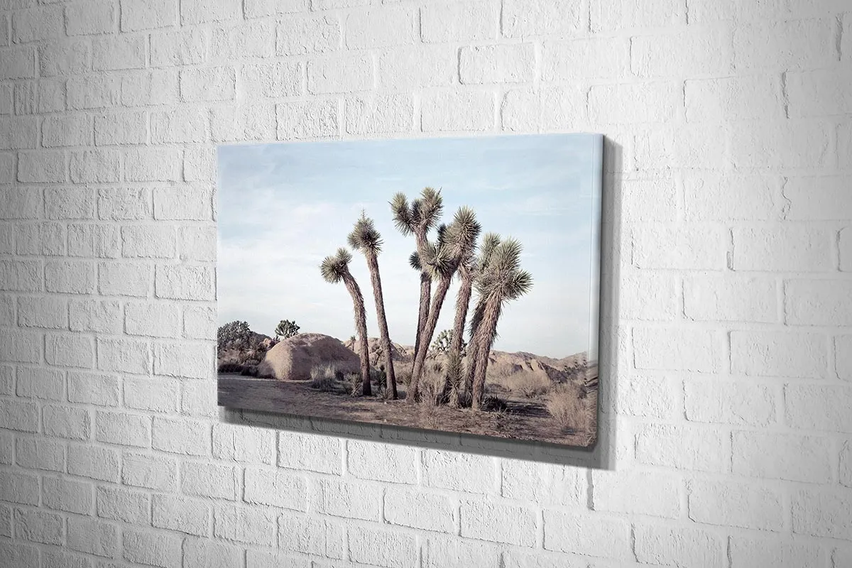 Desert Joshua Trees Canvas Wall Art Print