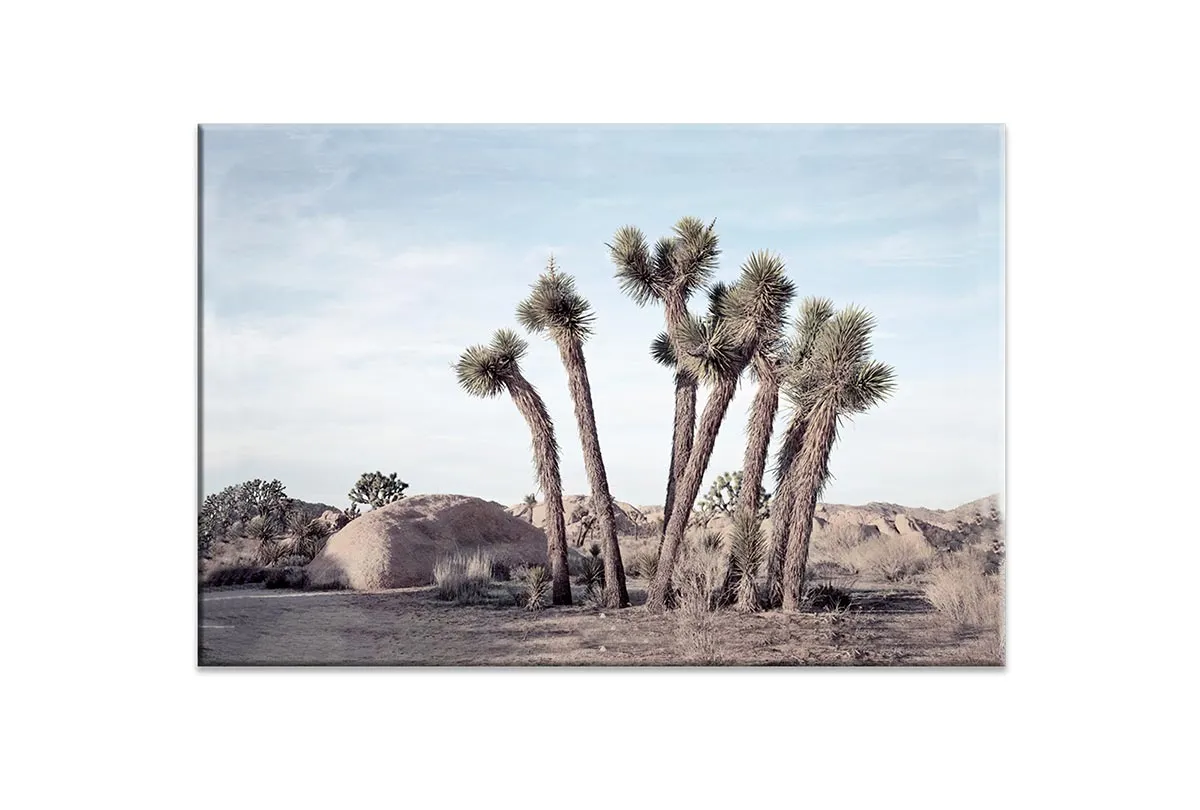 Desert Joshua Trees Canvas Wall Art Print