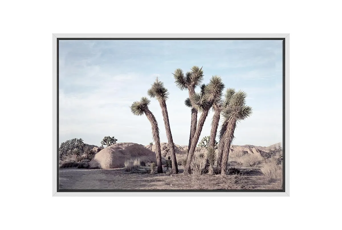 Desert Joshua Trees Canvas Wall Art Print